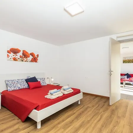 Gaimaro' A 50 M Dalla *