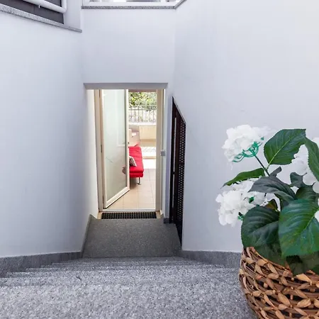 Gaimaro' A 50 M Dalla * Àrbatax