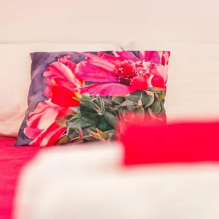 Gaimaro' A 50 M Dalla